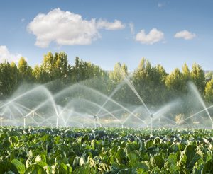 آب مغناطیسی